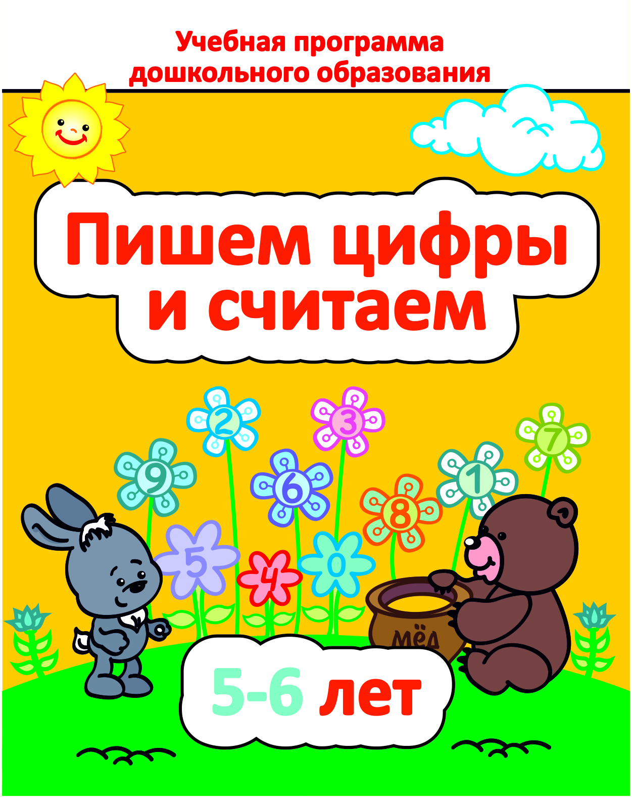 ДО.Пишем цифры и считаем 5-6 лет                                         